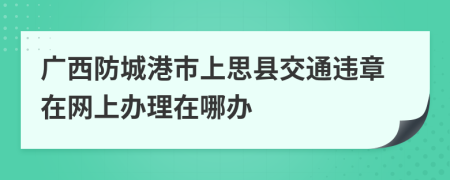 广西防城港市上思县交通违章在网上办理在哪办