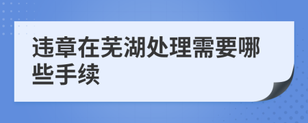 违章在芜湖处理需要哪些手续