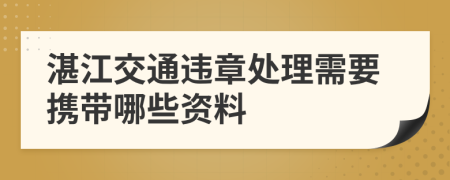 湛江交通违章处理需要携带哪些资料