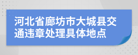 河北省廊坊市大城县交通违章处理具体地点