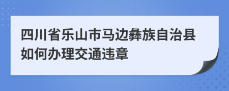 四川省乐山市马边彝族自治县如何办理交通违章