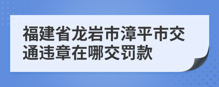 福建省龙岩市漳平市交通违章在哪交罚款