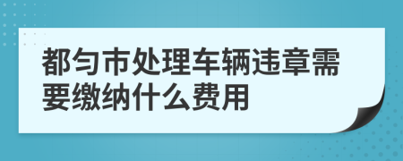 都匀市处理车辆违章需要缴纳什么费用