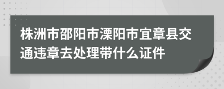 株洲市邵阳市溧阳市宜章县交通违章去处理带什么证件