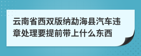 云南省西双版纳勐海县汽车违章处理要提前带上什么东西