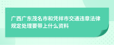 广西广东茂名市和凭祥市交通违章法律规定处理要带上什么资料