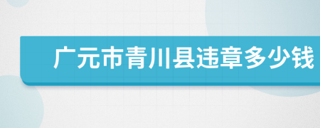 广元市青川县违章多少钱