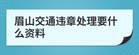 眉山交通违章处理要什么资料