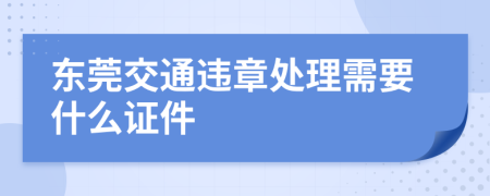 东莞交通违章处理需要什么证件