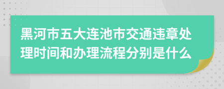 黑河市五大连池市交通违章处理时间和办理流程分别是什么