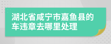 湖北省咸宁市嘉鱼县的车违章去哪里处理