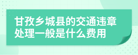 甘孜乡城县的交通违章处理一般是什么费用