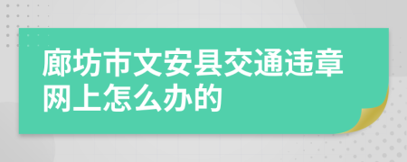 廊坊市文安县交通违章网上怎么办的