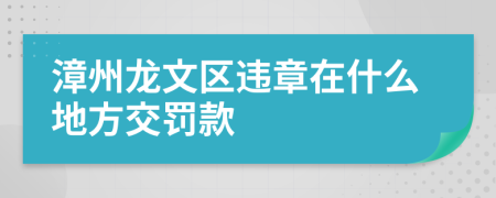 漳州龙文区违章在什么地方交罚款