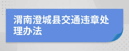 渭南澄城县交通违章处理办法