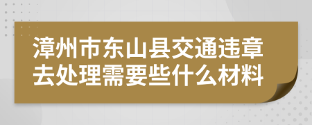 漳州市东山县交通违章去处理需要些什么材料