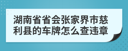 湖南省省会张家界市慈利县的车牌怎么查违章