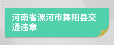 河南省漯河市舞阳县交通违章