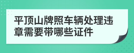 平顶山牌照车辆处理违章需要带哪些证件