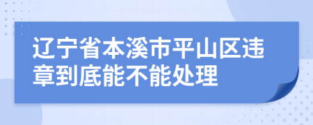 辽宁省本溪市平山区违章到底能不能处理