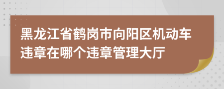 黑龙江省鹤岗市向阳区机动车违章在哪个违章管理大厅