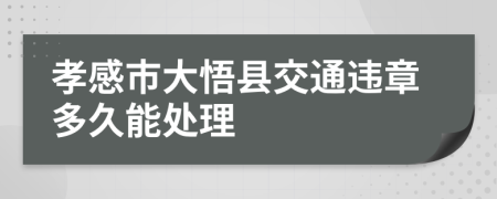 孝感市大悟县交通违章多久能处理