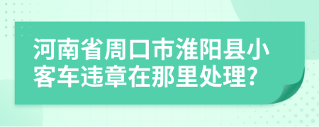 河南省周口市淮阳县小客车违章在那里处理?