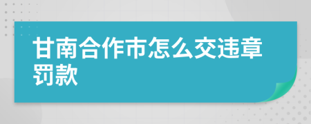 甘南合作市怎么交违章罚款