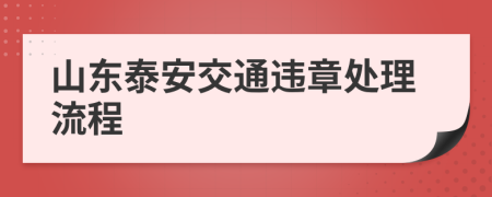 山东泰安交通违章处理流程