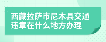 西藏拉萨市尼木县交通违章在什么地方办理