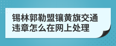 锡林郭勒盟镶黄旗交通违章怎么在网上处理