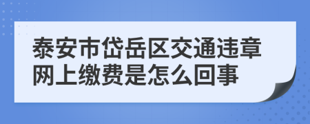 泰安市岱岳区交通违章网上缴费是怎么回事