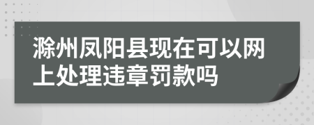 滁州凤阳县现在可以网上处理违章罚款吗