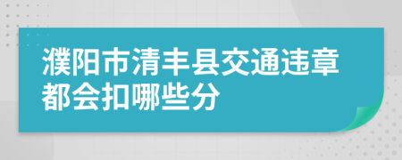 濮阳市清丰县交通违章都会扣哪些分