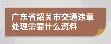 广东省韶关市交通违章处理需要什么资料