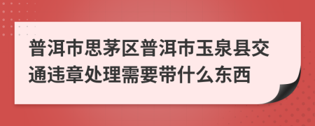 普洱市思茅区普洱市玉泉县交通违章处理需要带什么东西