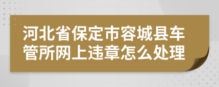 河北省保定市容城县车管所网上违章怎么处理