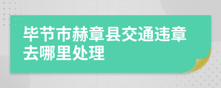 毕节市赫章县交通违章去哪里处理