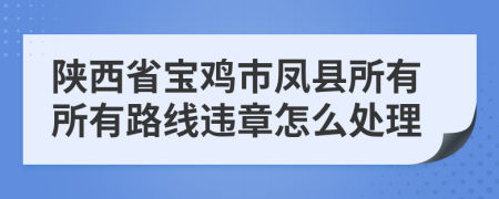 陕西省宝鸡市凤县所有所有路线违章怎么处理