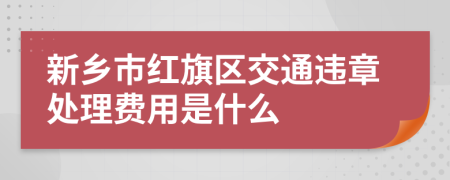 新乡市红旗区交通违章处理费用是什么