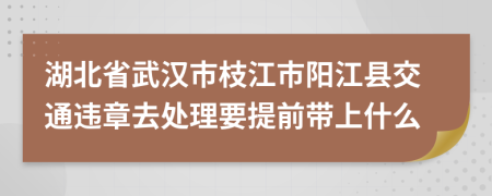 湖北省武汉市枝江市阳江县交通违章去处理要提前带上什么