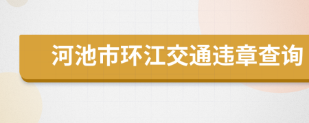 河池市环江交通违章查询