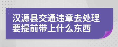 汉源县交通违章去处理要提前带上什么东西