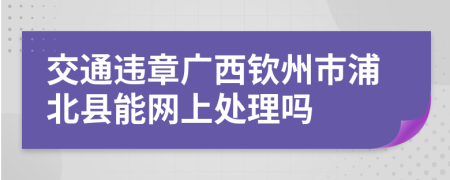 交通违章广西钦州市浦北县能网上处理吗