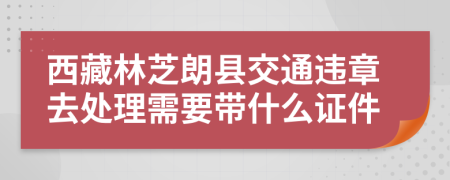 西藏林芝朗县交通违章去处理需要带什么证件