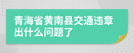 青海省黄南县交通违章出什么问题了