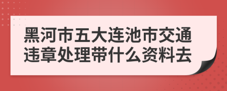 黑河市五大连池市交通违章处理带什么资料去