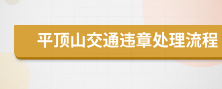 平顶山交通违章处理流程