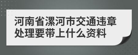 河南省漯河市交通违章处理要带上什么资料