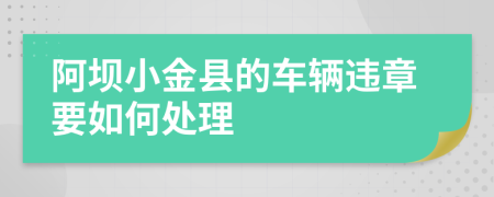 阿坝小金县的车辆违章要如何处理